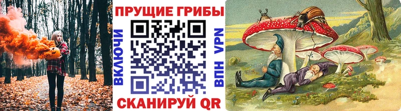 купить   Дюртюли  blacksprut ссылки  Галлюциногенные грибы мицелий 
