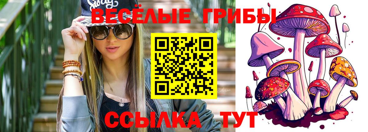 Дюртюли  Псилоцибиновые грибы ЛСД  Вход с VPN 