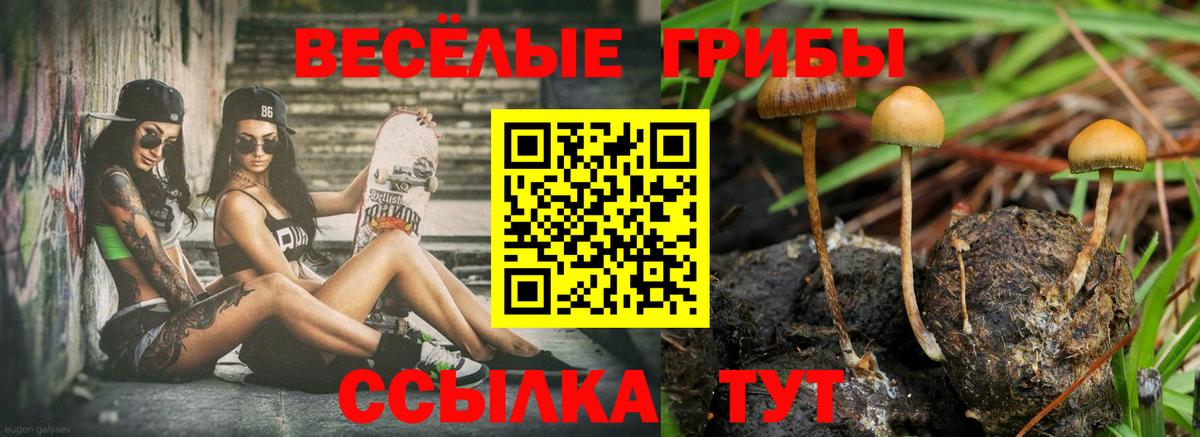 Псилоцибиновые грибы прущие грибы Дюртюли